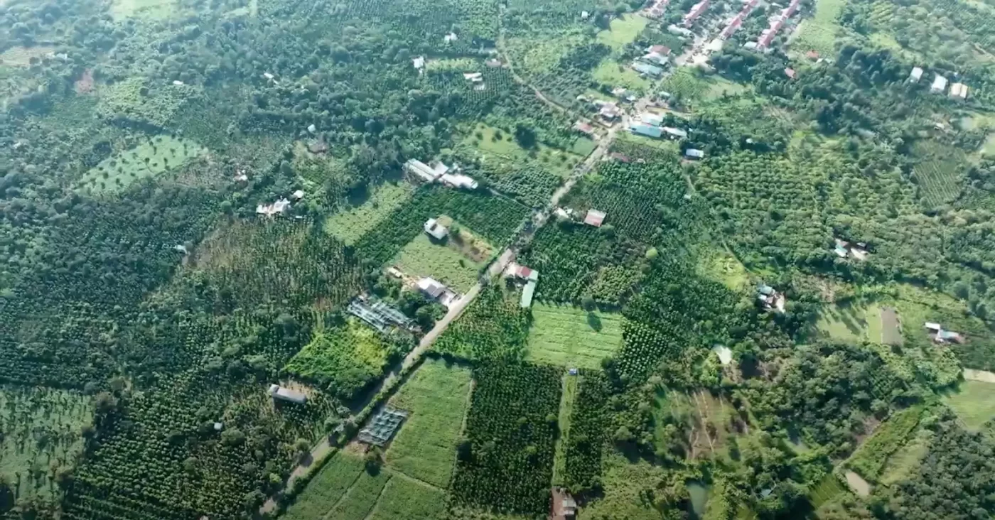 Hình ảnh: Vùng đất trồng cây cà phê nổi tiếng