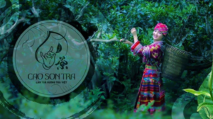 Cao Sơn Trà – Lan tỏa giá trị Việt